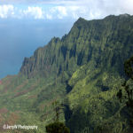 Hawaii-1.jpg (22844 bytes)