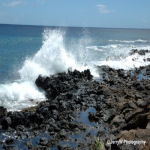 Hawaii-2.jpg (22844 bytes)