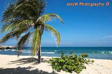 Labadee.jpg (22844 bytes)