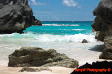 Bermuda.jpg (22844 bytes)